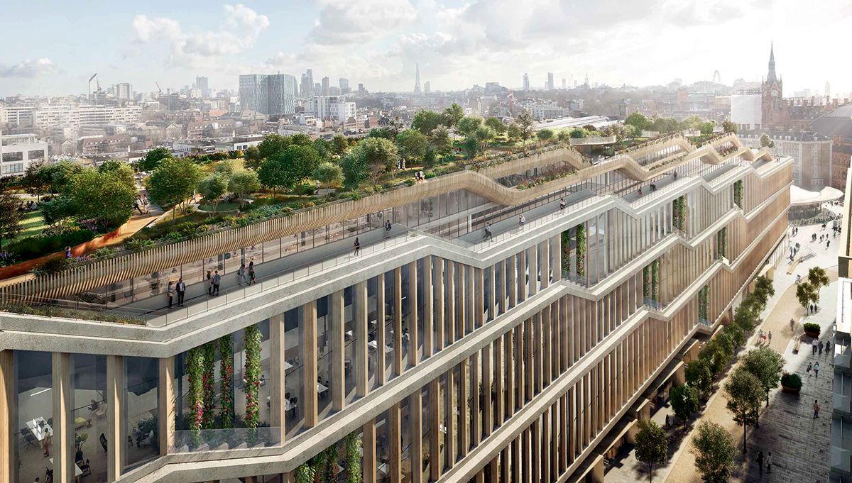 Google London Kings Cross rooftop and greenery
