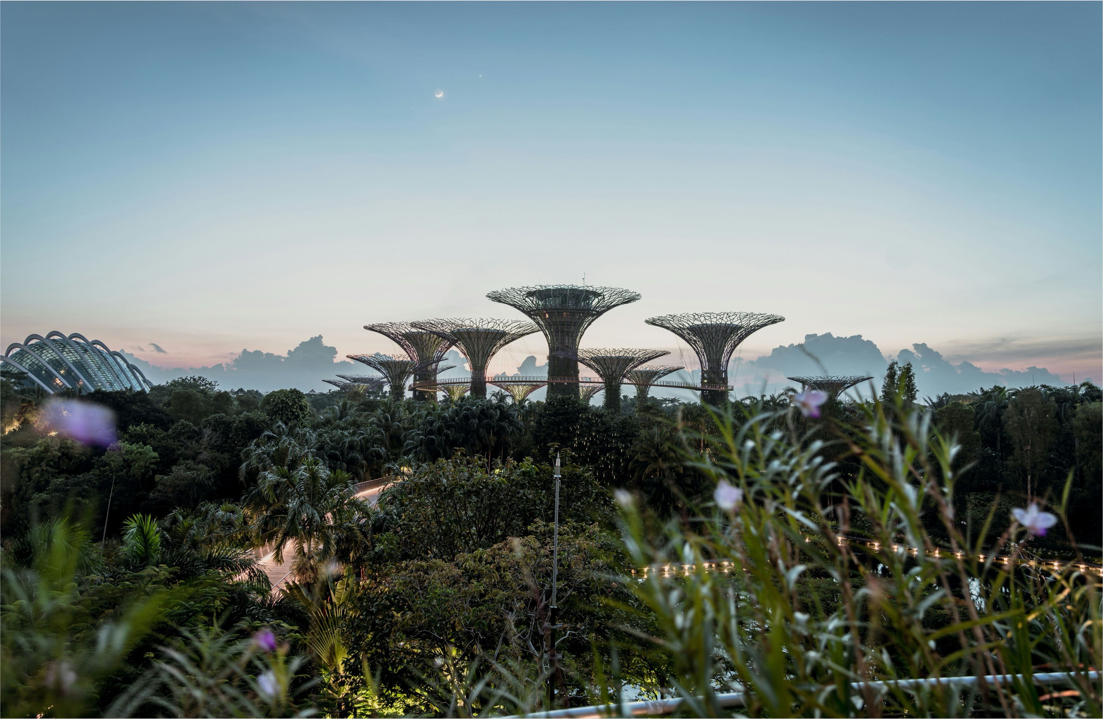 Sky Gardens in Singapore from a distance