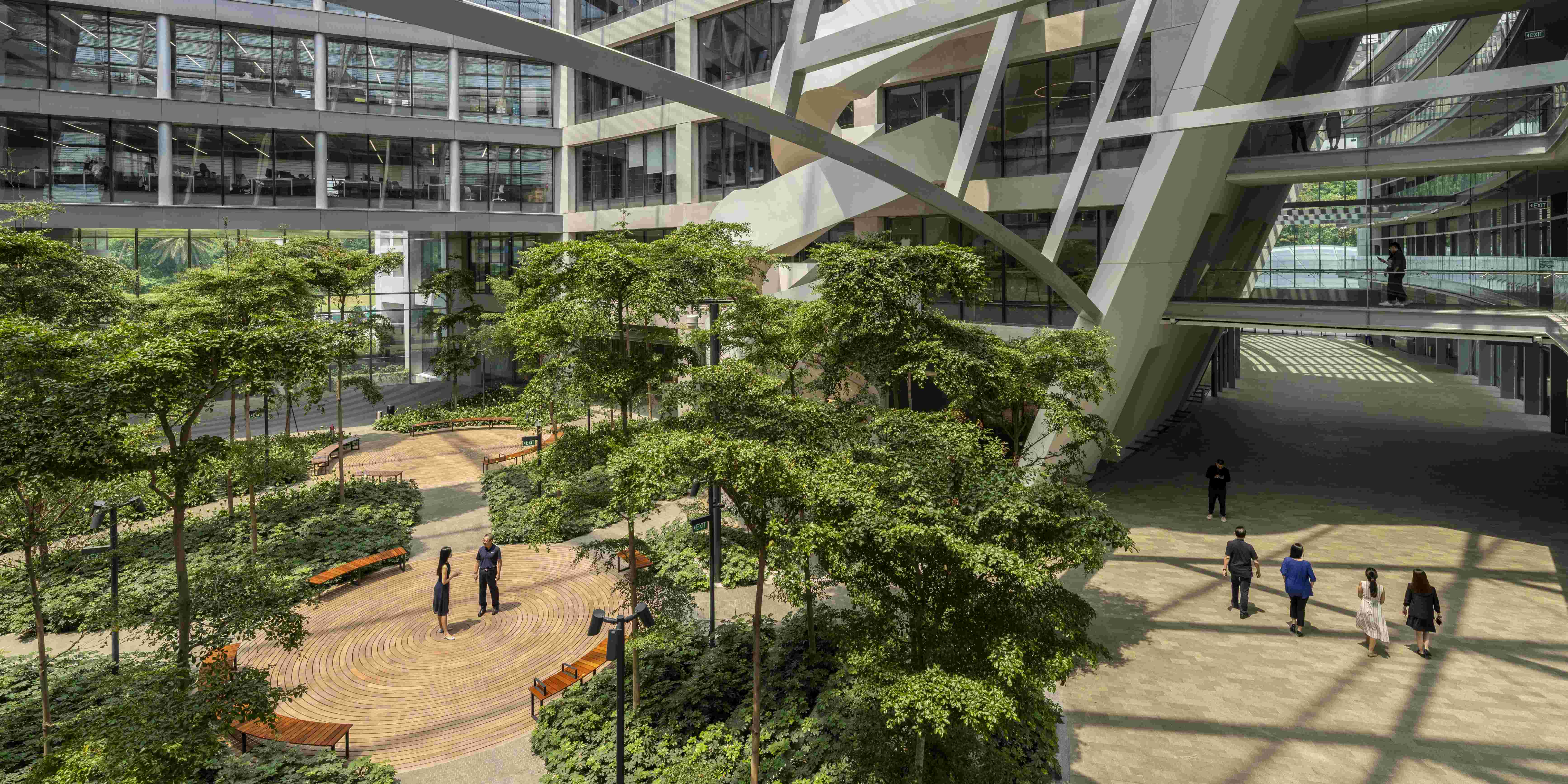 Tropical Grove