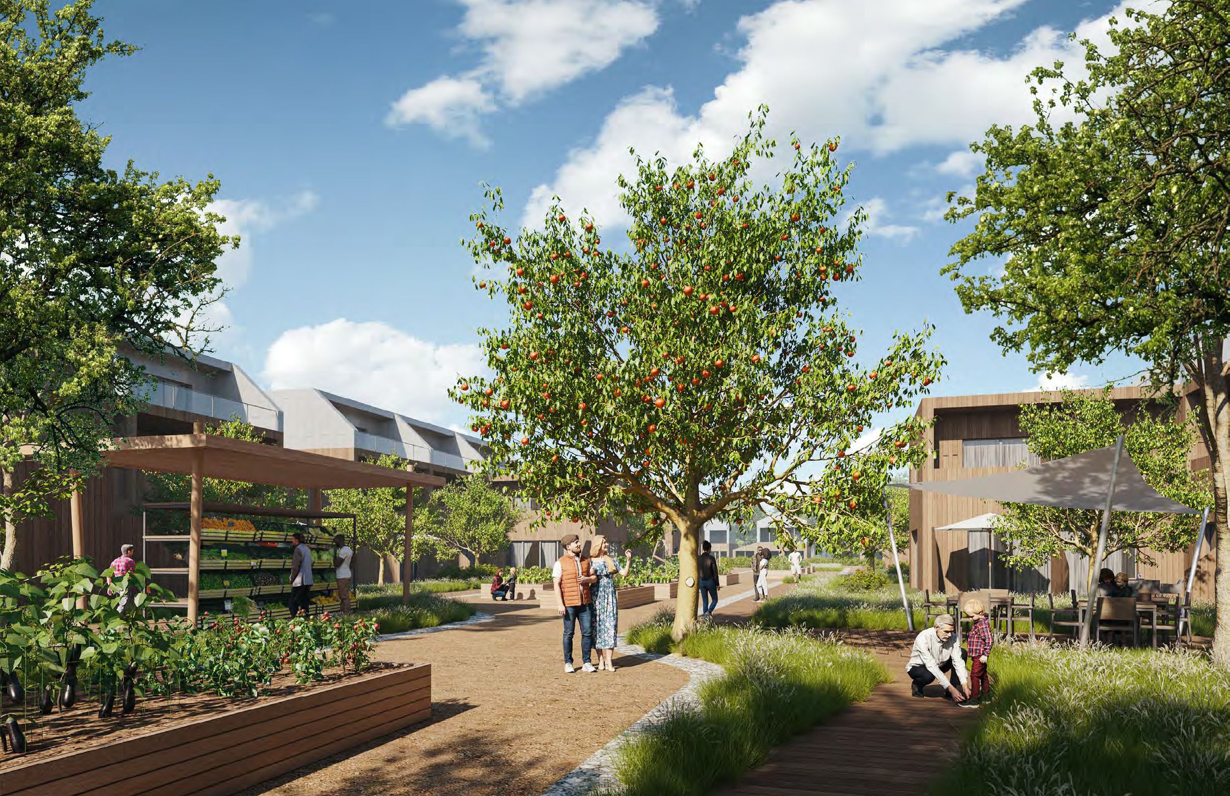 New Lowell Biomimicry Vision Plan